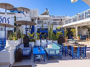 这才是我要的女主！《天命奇御二》立绘投票阶段开启